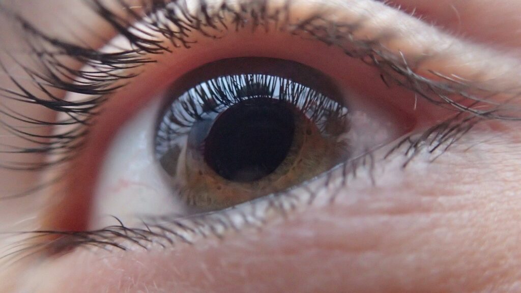 lentille UV