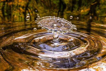 fuite d'eau